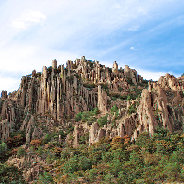 Explorar la Sierra de Cardos 
